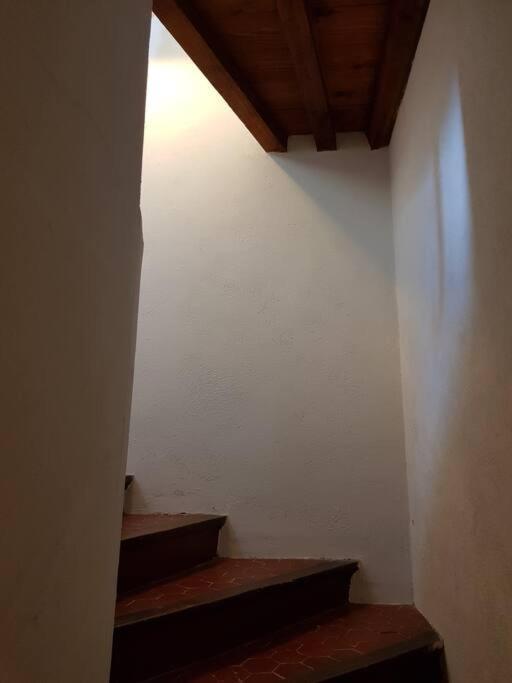 טולון Appartement Pres Des Plages Du Mourillon מראה חיצוני תמונה